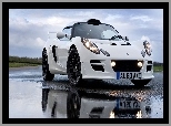 Nawierzchnia, Lotus Exige S, Mokra